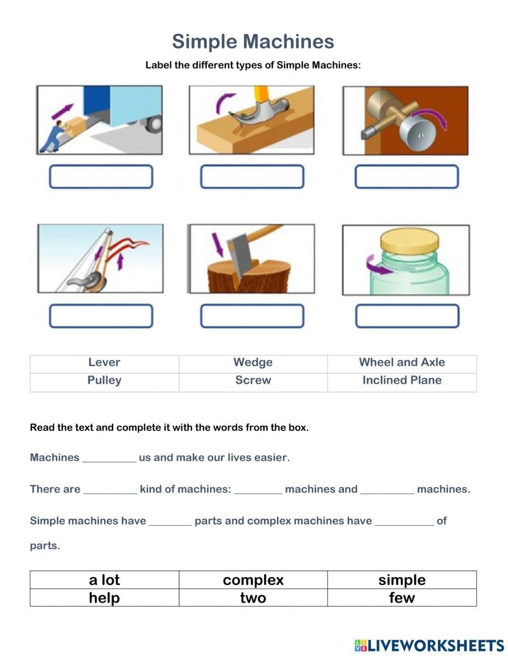 Grade 7 Science Free Interactive Worksheets 1679948