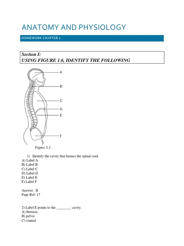 Homework Chapter 1 Answer Key PDF Human Body Anatomical 