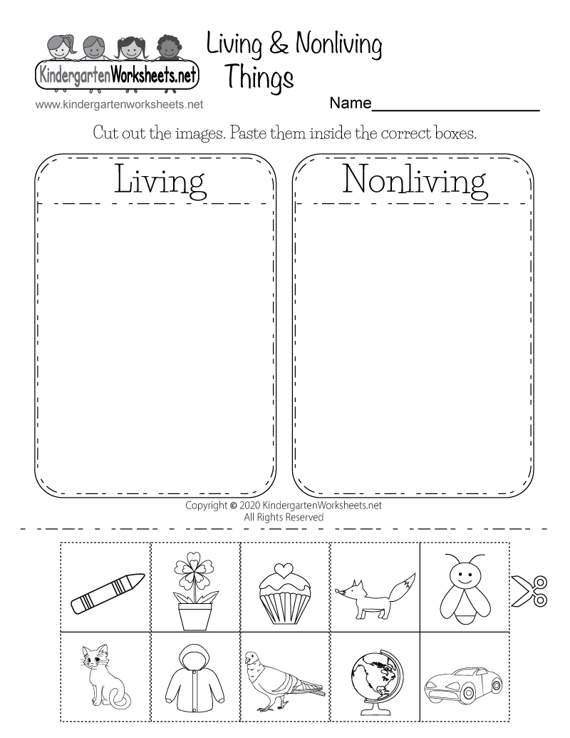 Living And Nonliving Things Worksheet Free Printable Digital amp PDF
