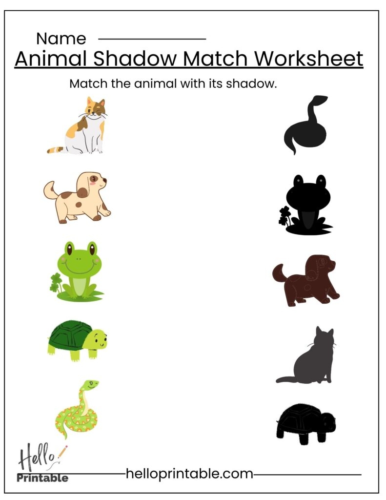 Printable Matching Worksheets For Preschool