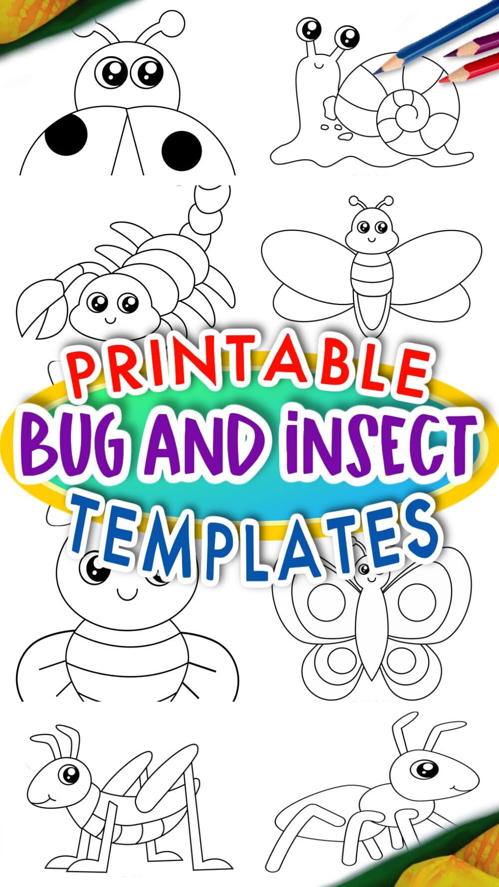 printable insect and bug templates simple mom project