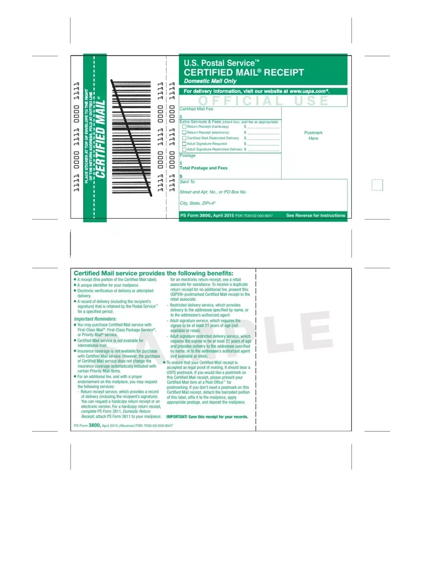 Irs Form 3800