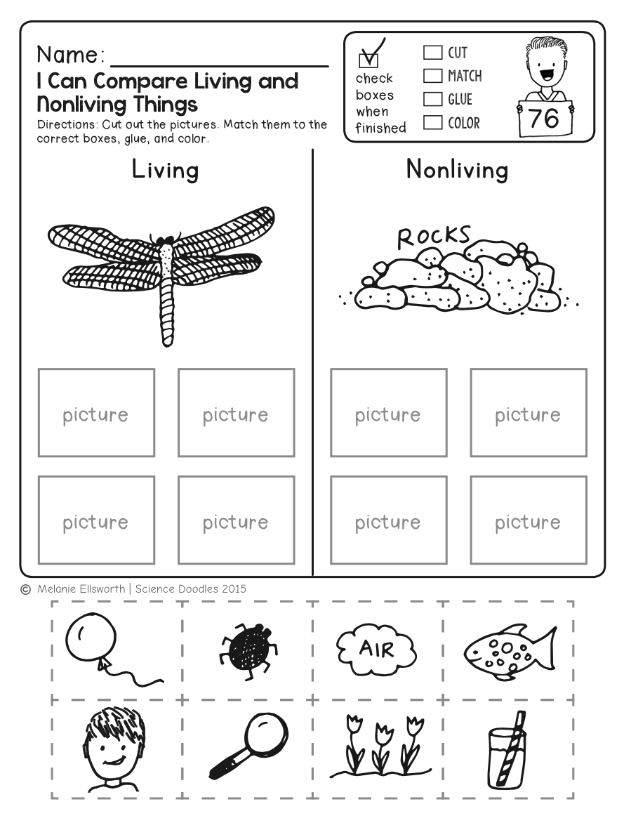 Science Worksheets For Kindergarten Free Printables Worksheets 