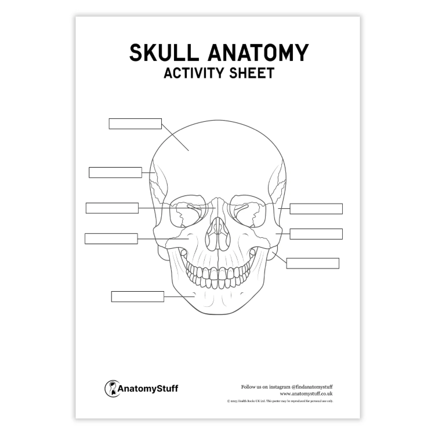 Skull Anatomy Activity Sheet PDF Colouring In Skull Download 