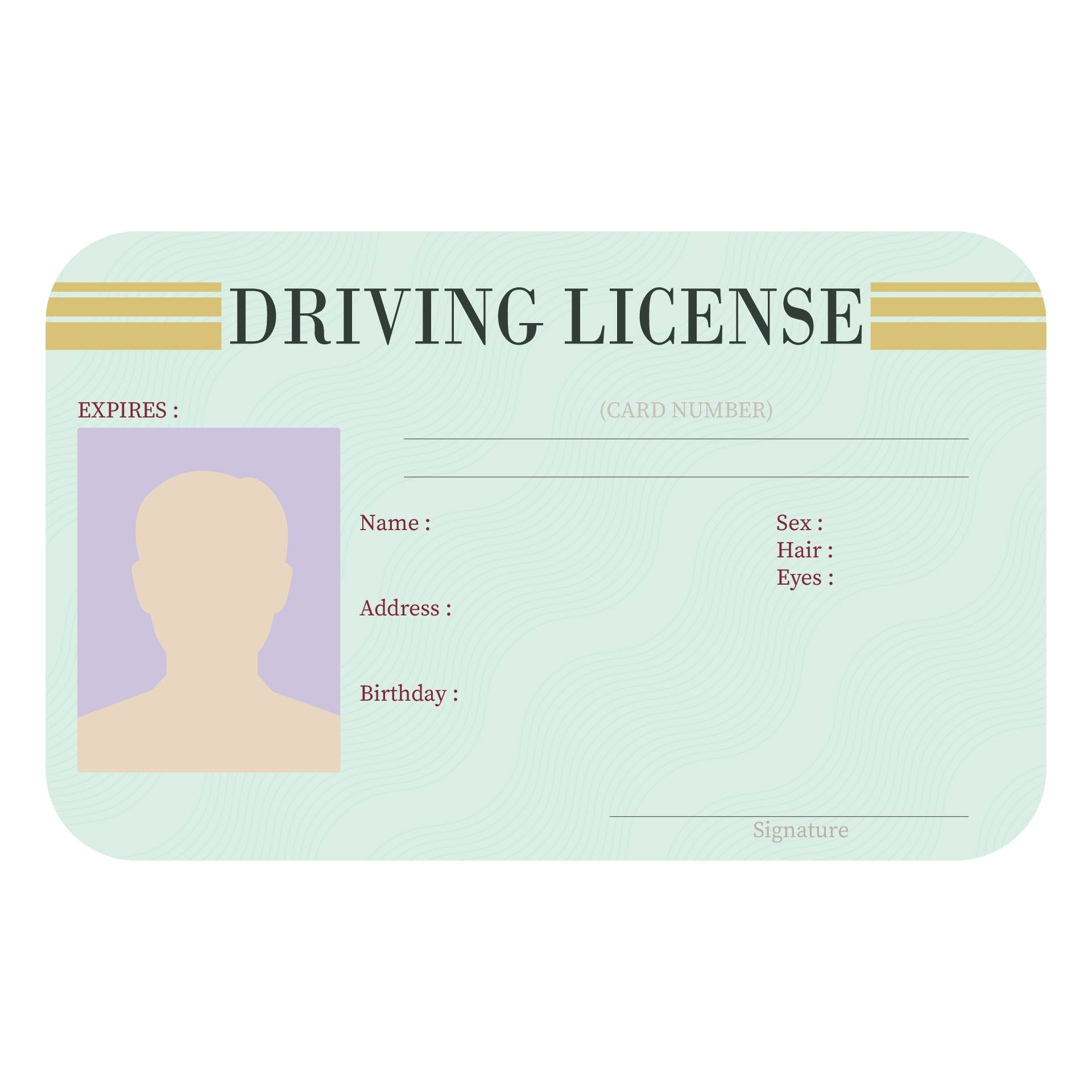 Template License Printable