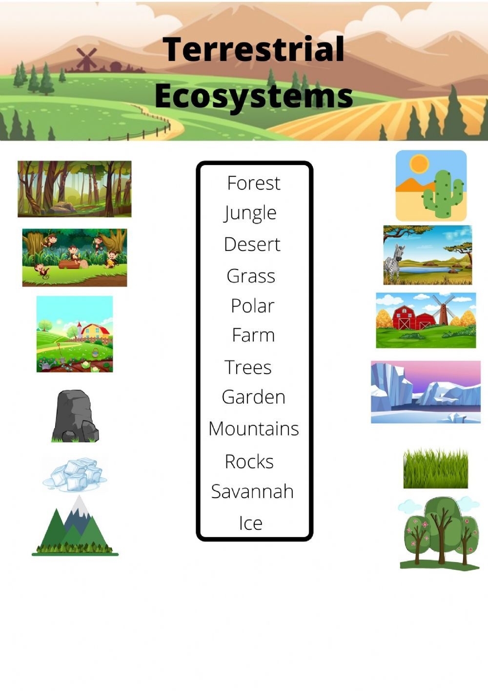 Ecosystem Worksheets For Kids