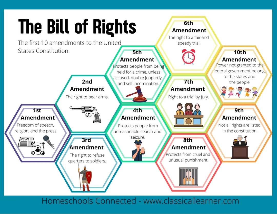 The Bill Of Rights Cheat Sheet Etsy UK